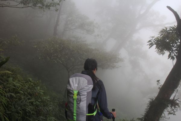 作伙來去北大武304500