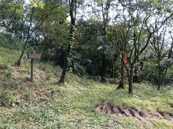 汐止區茄苳越嶺古道+上鹿窟崙山+九層坪山+四分尾山+大尖山8字走2981624