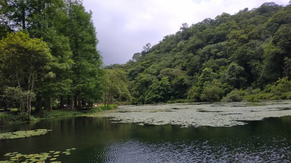 福山植物園1091023