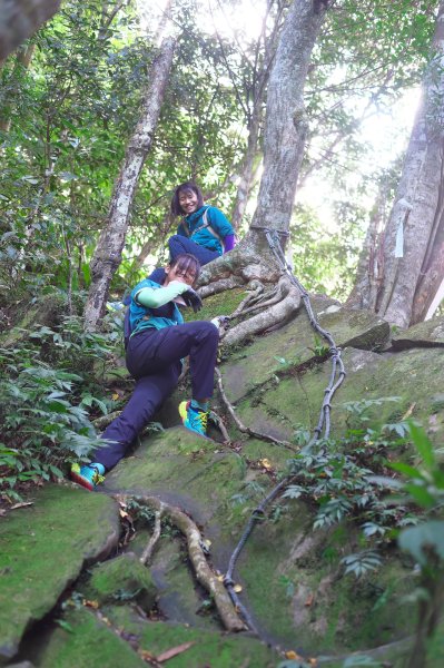 嘎色鬧登那結山2392516