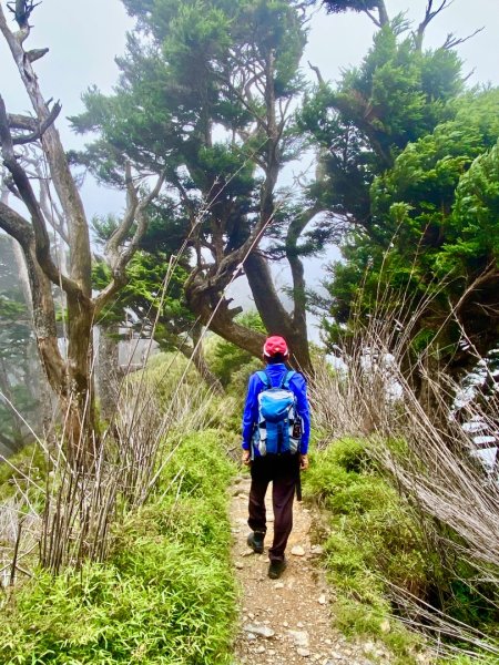 金牌兄弟療癒之旅 一日單攻北大武山2834060