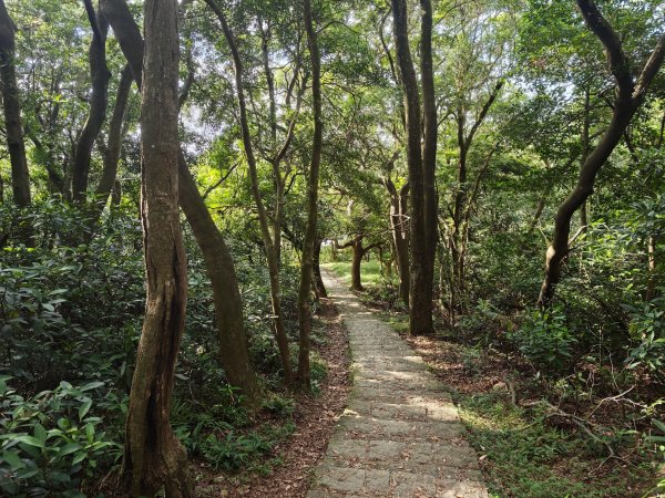 [皮皮獅動物派對-02/10] 2026_0815 仁和步道、金獅古道3112487