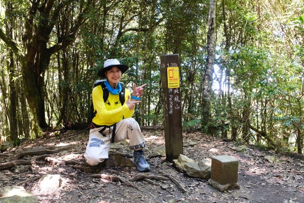 雪見大板根2924692