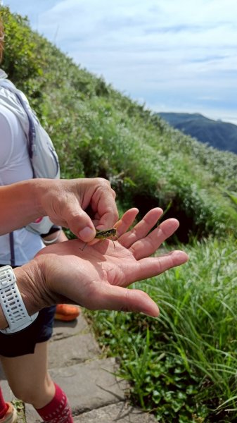 20250706_三進七星山2832351