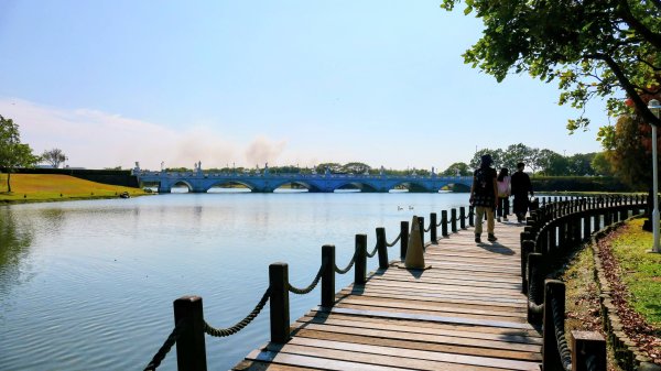 琴弦上的白宮2987568