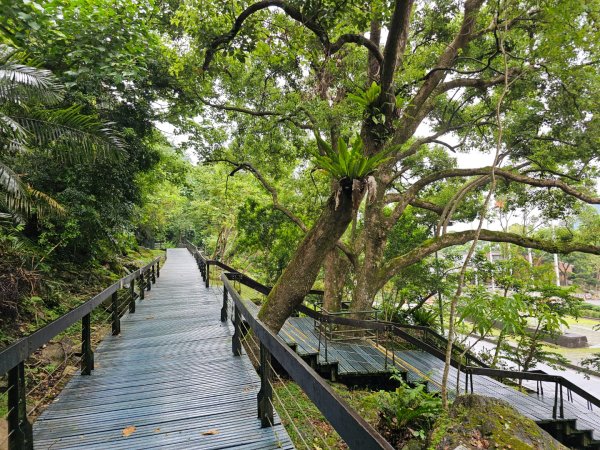 得卡倫步道2833850