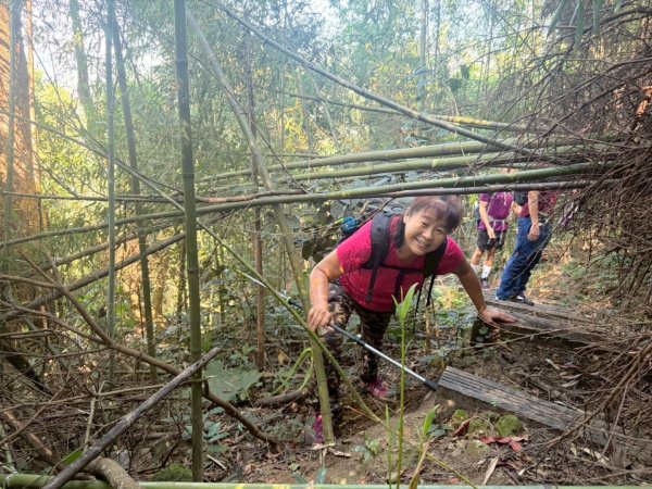 雙崎埋伏坪山歩道、鯉魚潭水庫、大峽谷2938933