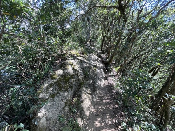 【二格山系】皇帝殿稜線2914127