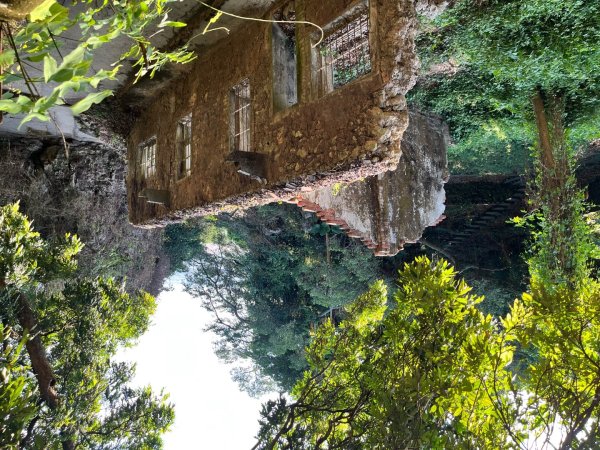 20251101_大崗山（高雄小百岳）2941410