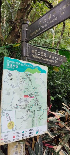 微笑山線：【天上山系】望月亭桐花段3001598