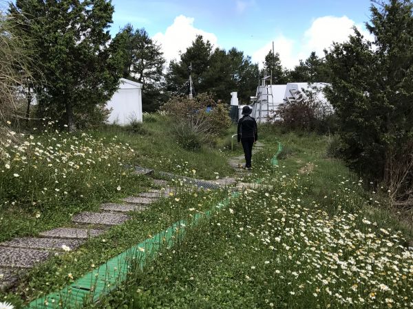 走在玉山的門檻上-鹿林麟趾133572