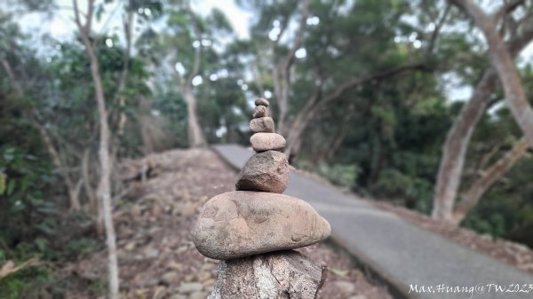 《彰化》登山市集｜員林臥龍坡環藤山步道202312162380612