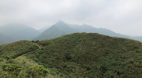 【北台灣郊山之王「瑞芳劍龍稜」 攀爬峭壁岩稜翻山越嶺驚險行】1337529