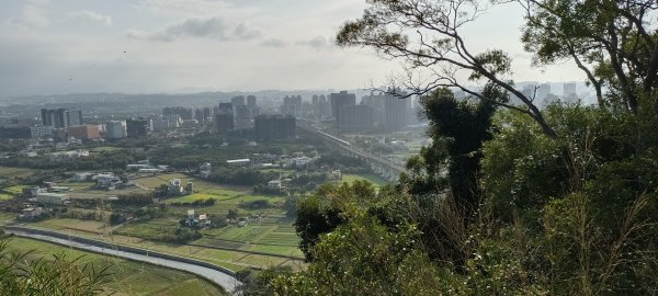 20230114_文山步道1994266