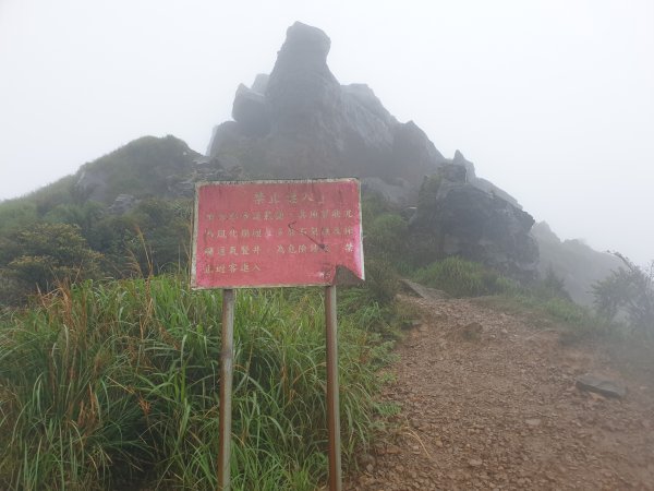 一人獨享但有點可怕的無耳茶壺半屏山燦光寮山1552216