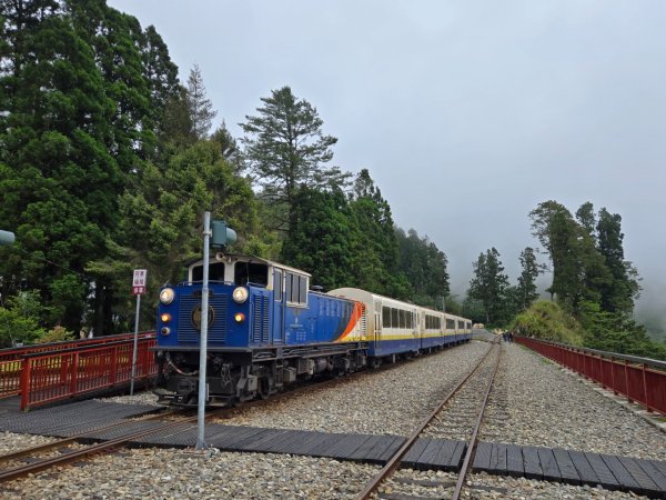 二萬坪山、二萬坪森林步道3055593