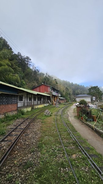 【四大天王山O型縱走未竟之旅：封山中的靜謐與省思】解鎖嘉義竹崎四大天王山、知鳥山。2929922