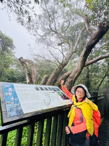 獅山 六寮古道 獅頭獅尾走一圈2992423