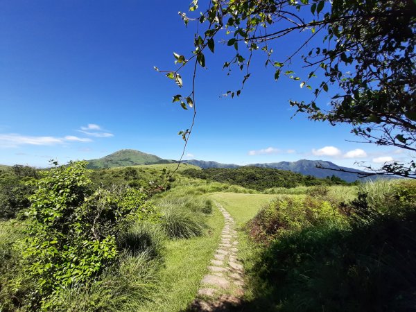 臺北大縱走3：擎天崗、頂山石梯嶺步道669838