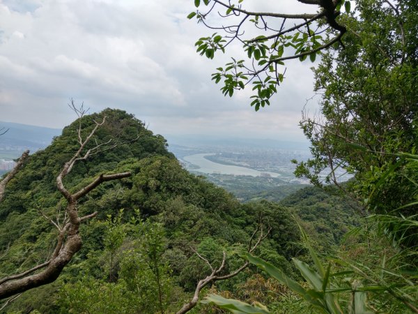 尖山步道1006045