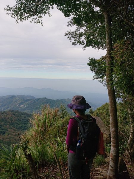 橫龍山、騰龍山（橫龍古道）1544720