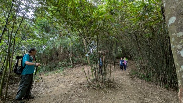 114.08.09溪洲山-新溪洲山之旅2856795