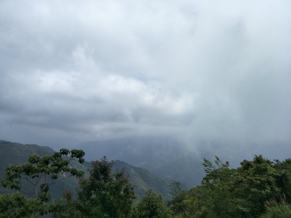 2019 05 14 李崠山步道585046