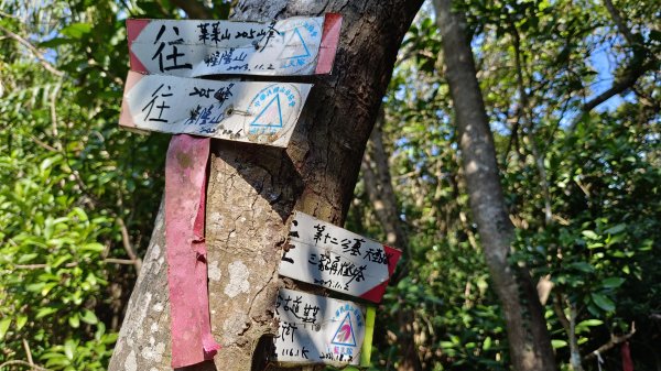 貢寮區三貂角燈塔+萊萊越嶺古道+萊萊山+萊萊三叉峰+吳家古厝+舊草嶺隧道北口+福隆車站3001129