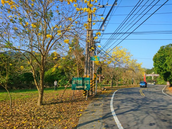 合歡山東峰上下(遊客中心起登)871455