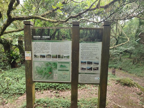 臺北大縱走第三段：小油坑至風櫃口2817677