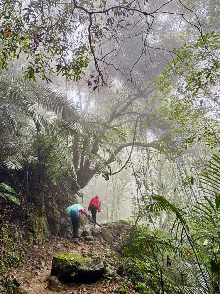 獅山 六寮古道 獅頭獅尾走一圈2992425