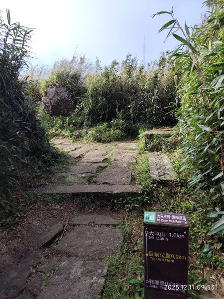【臺北大縱走 2】【第二回合全程完成證書】鞍部→大屯山步道→大屯山主峰→大屯坪步道→二子坪步道2960359