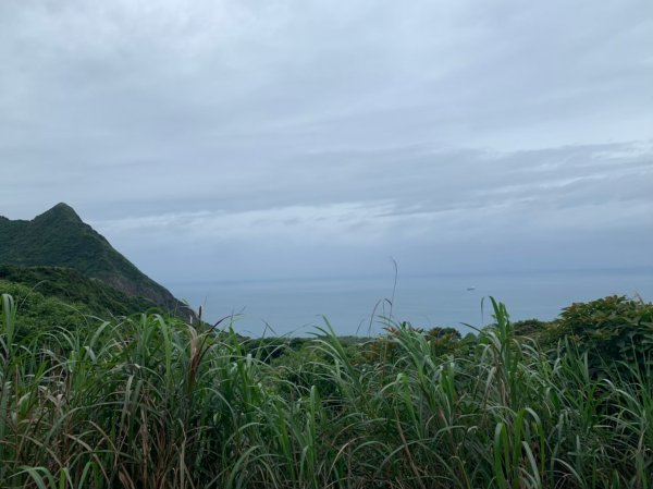 新北｜瑞芳 無耳茶壺山步道1488111