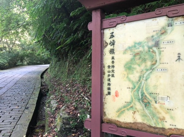 療癒系抹茶山，小百岳三角崙山，五峰旗瀑布1029855