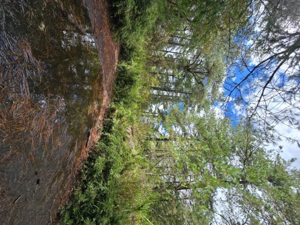 志佳陽大山／至高點／雪山大草原／瓢單山屋／四季蘭溪吊橋2927669