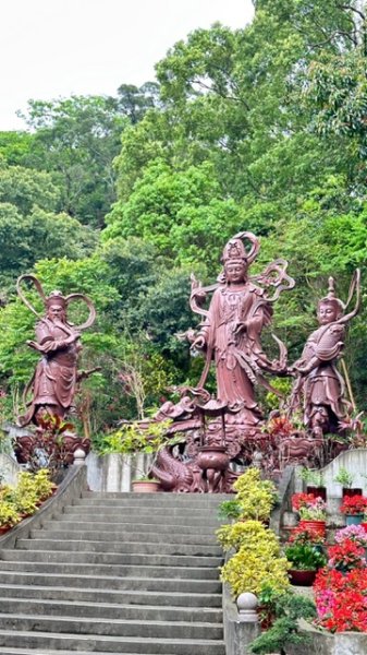 飛鳳山、中坑山、大阪根、賞血藤花O走2542610