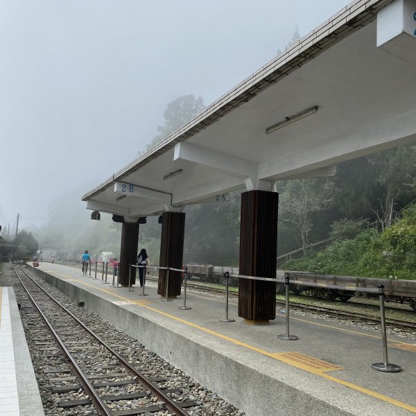 小百岳-嘉義大凍山1137844