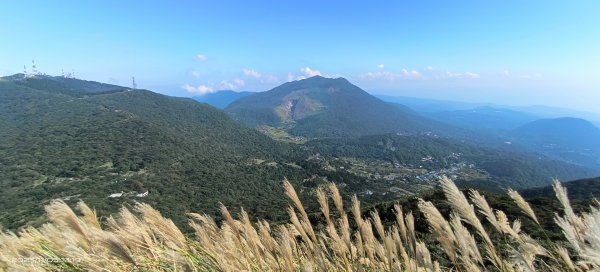 大屯山&小觀音山西峰差強人意的雲海/夕陽晚霞/芒花2337347