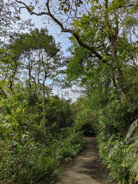 2024.03.24 飛鳳古道2908483