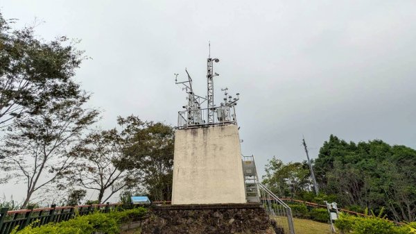 貓囒山步道2928513