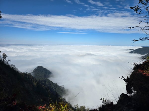 鳶嘴稍來山之楓紅／雲海2974039