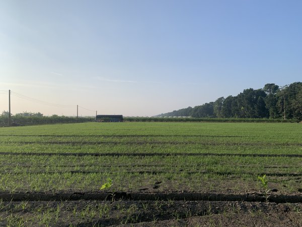 20251122高雄九寮2945273