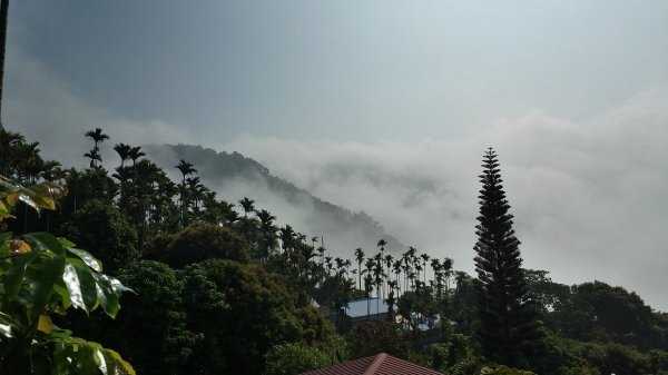 雲嘉七連峰897527