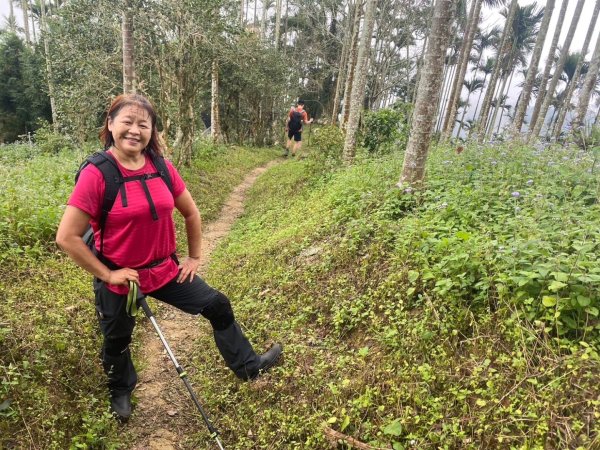 阿拔泉山、觀音石山、紅南坑山、獨立山2650833