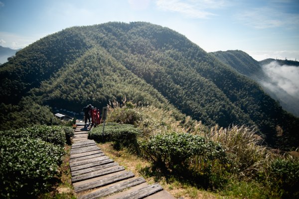 雲嘉七連峰 2025年12月2968915