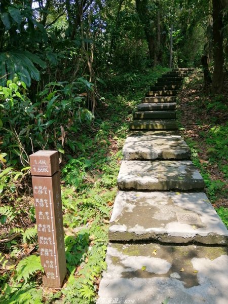 【基隆。仁愛】小百岳集起來。編號7小百岳~紅淡山步道1346382