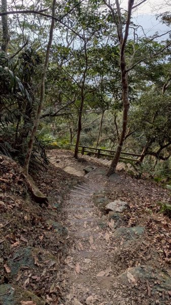 竹仔尖山步道3002513