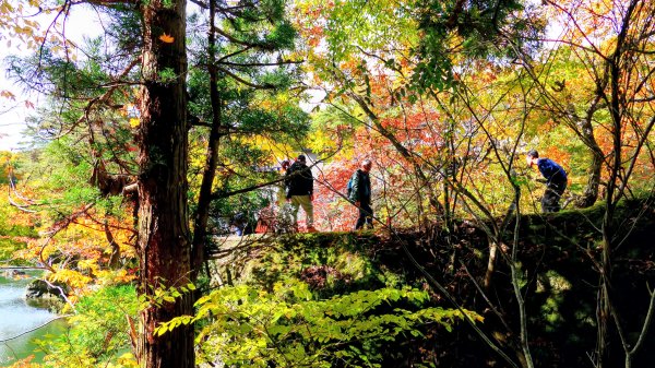 福島縣塔之斷崖2930292