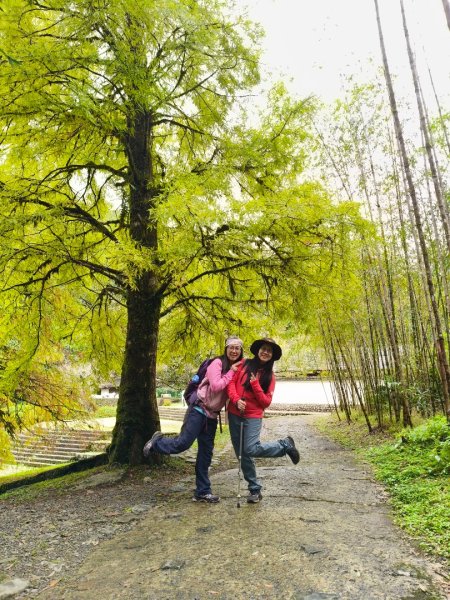 明池森林遊樂區202511152936674