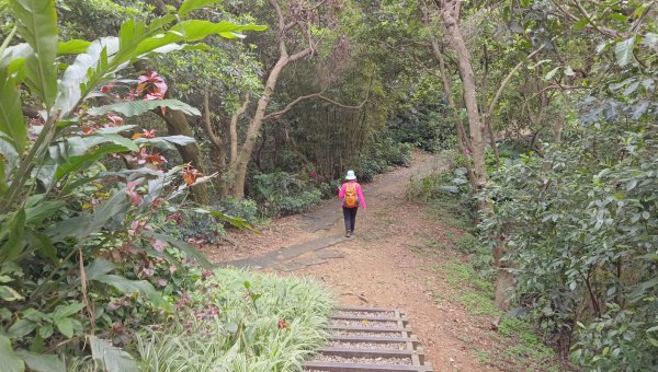 (姨婆趴趴走)第五十集:新北樹林大同山、青龍嶺、大棟山諸峰連走2751575